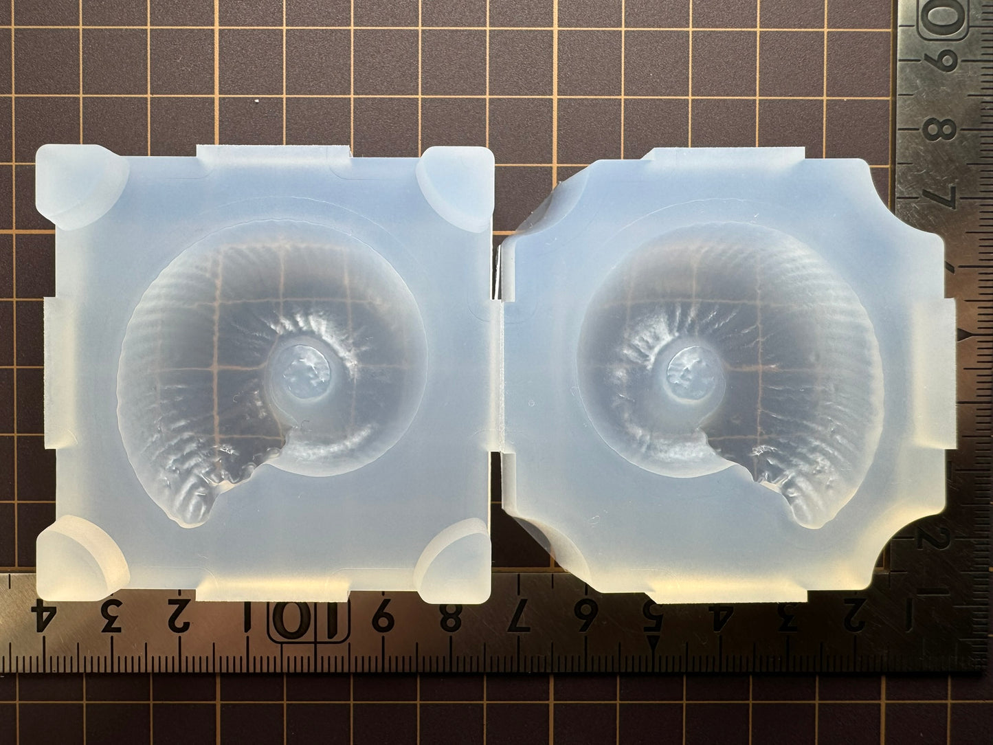 "Ammonite" resin mold
