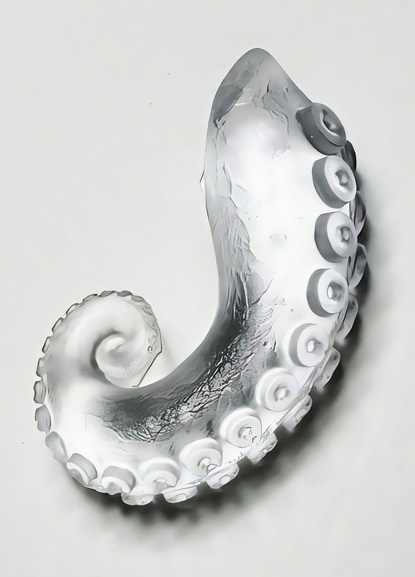 30mm「タコの足」レジン用モールド