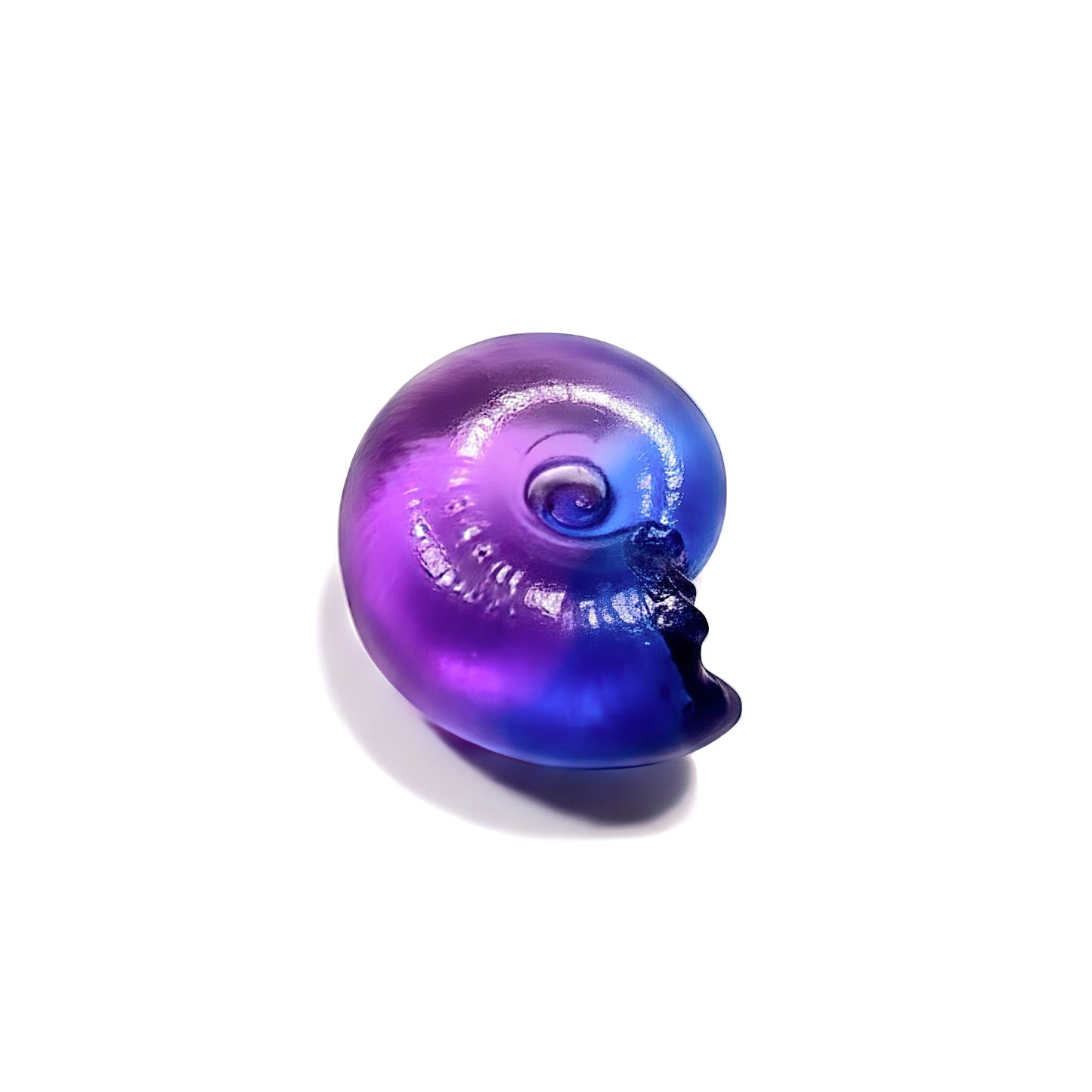 "Ammonite" resin mold