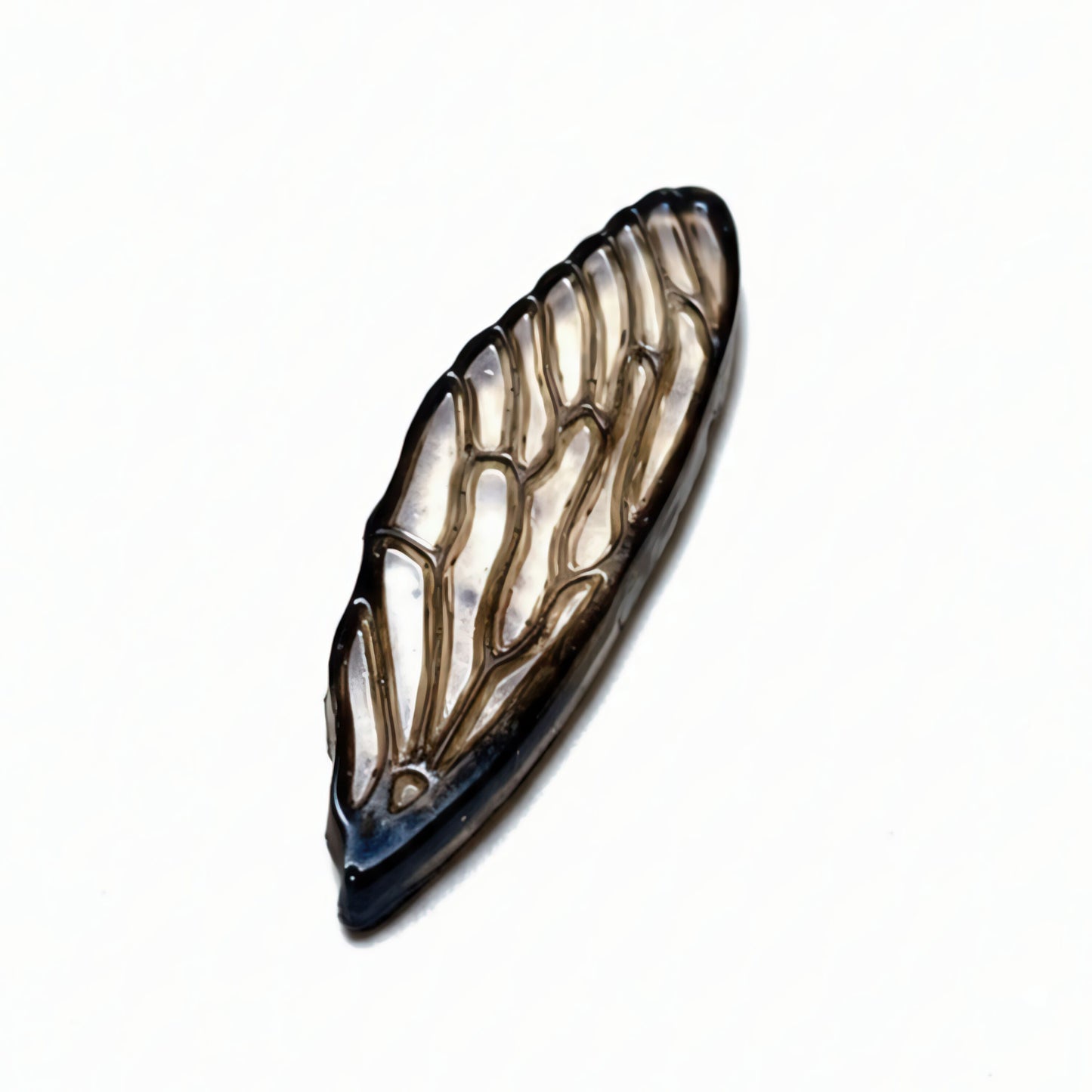 35mm "Cicada Wing" Resin Mold