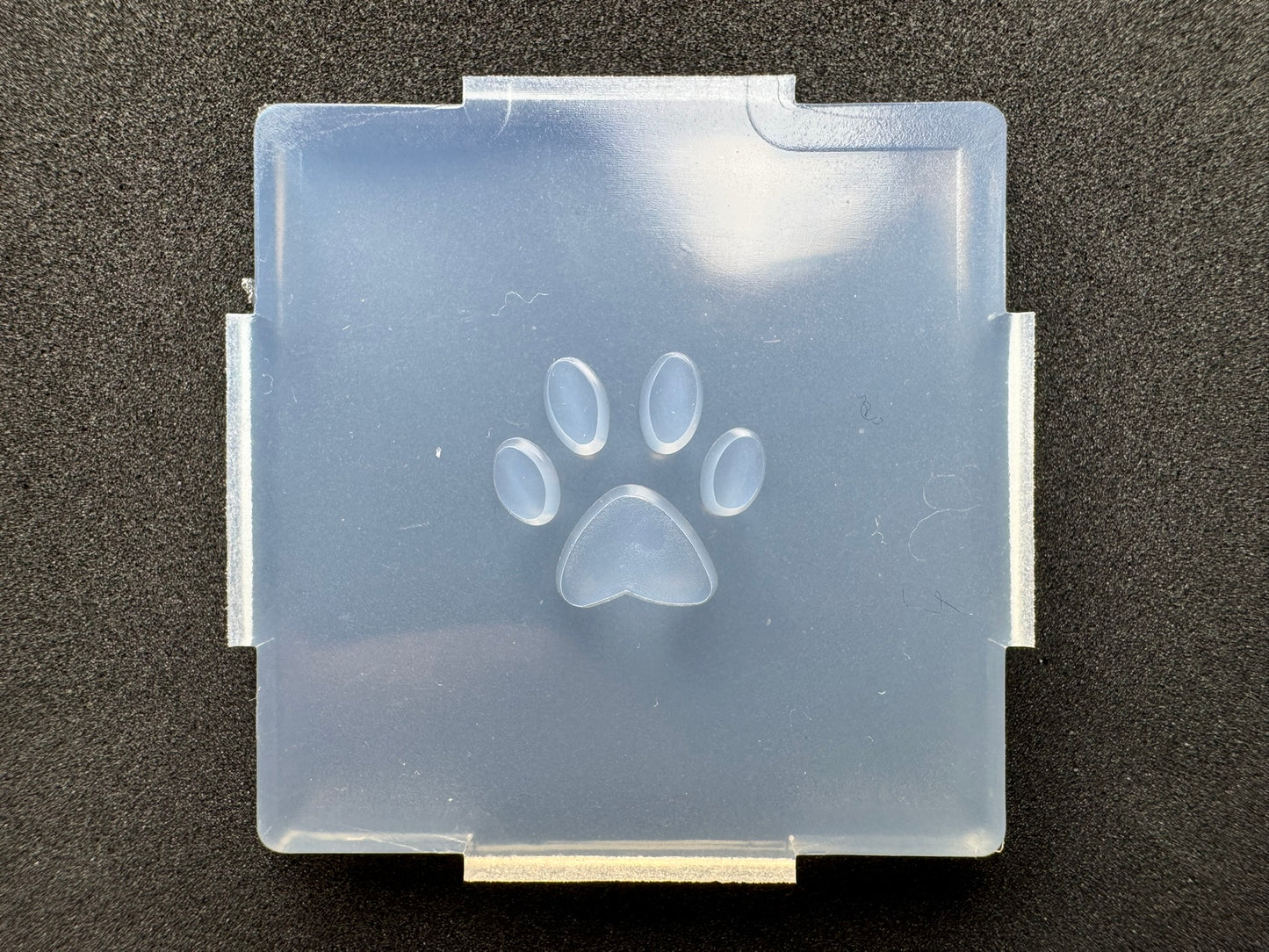 "Plate Hole Punching Paw Print" Resin Mold