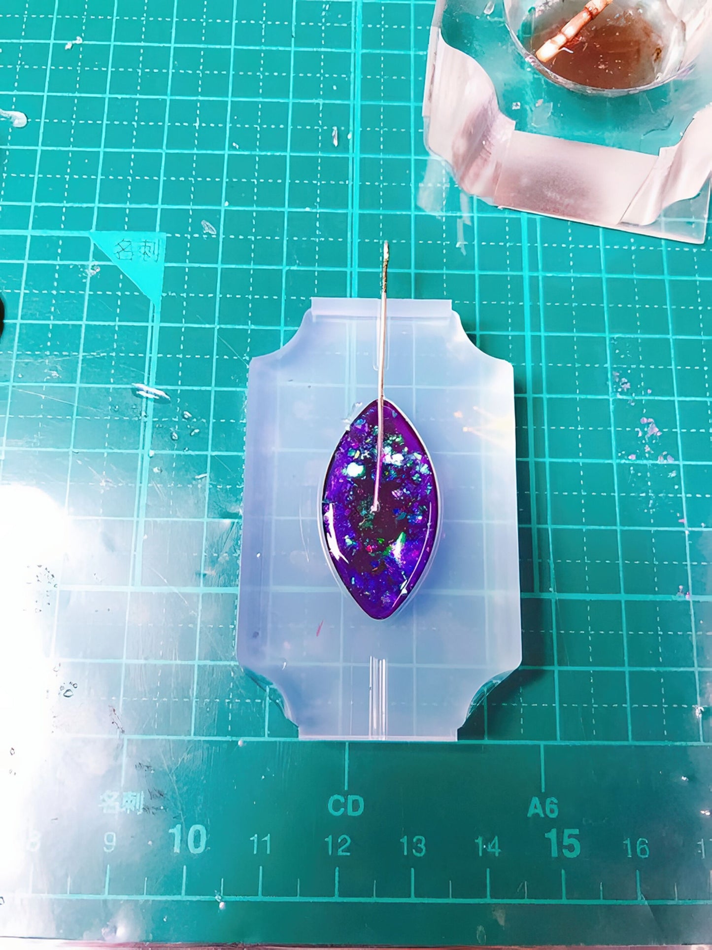 "Horse Eye with Center Line" Resin Mold 